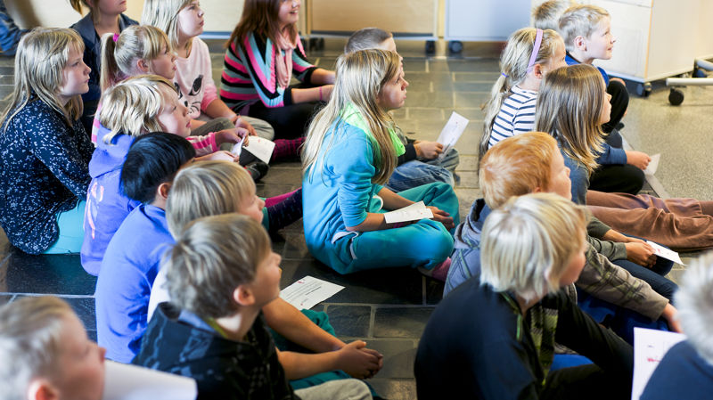 Contact person for youth activities and school collaboration