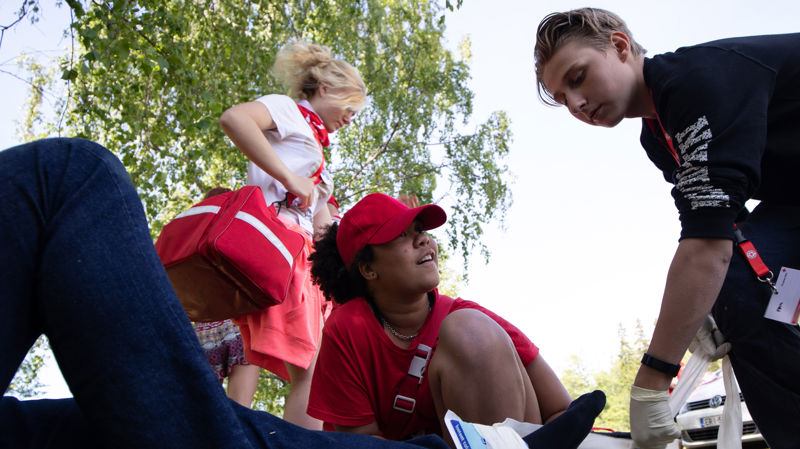 Criminal record checks for volunteers working with children