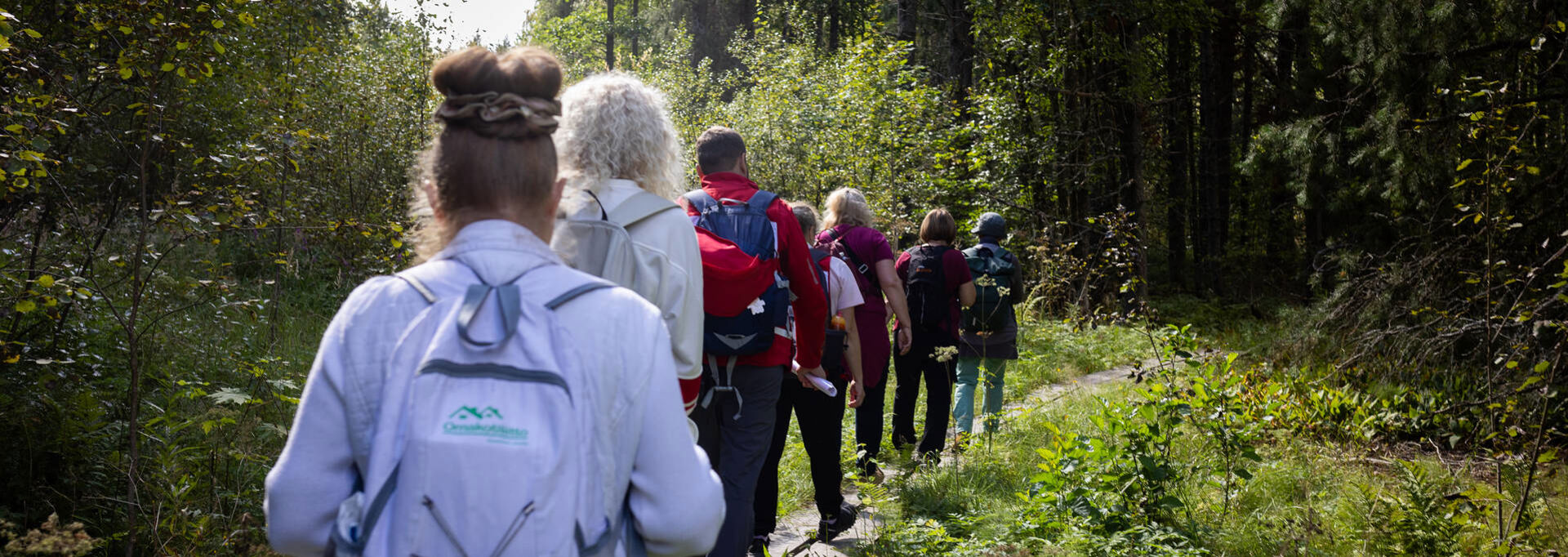 Hikers on a duckboard trail, with their backs to the camera.
