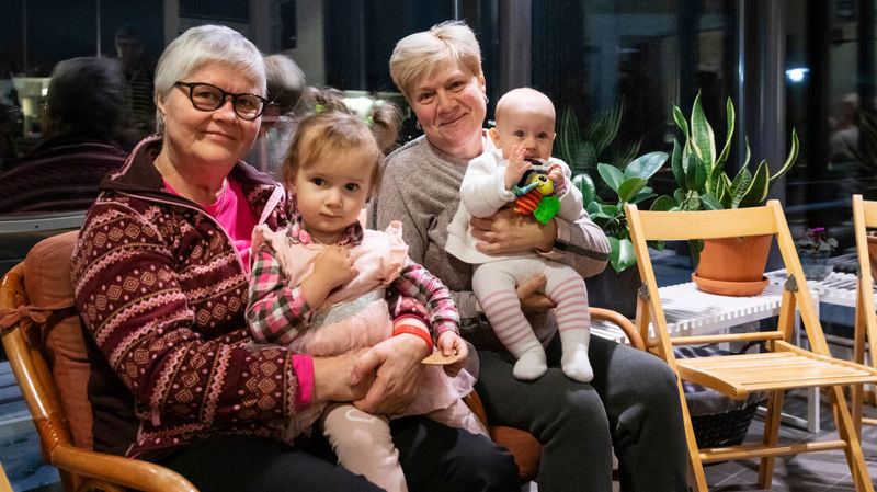 Restoring and Maintaining Family Links training