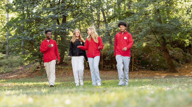 Network of young advocates